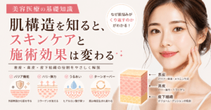 Understanding the Skin