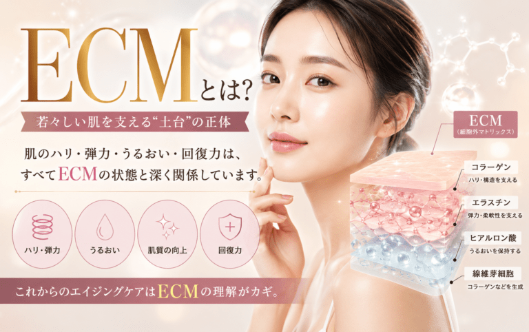 What is ECM?